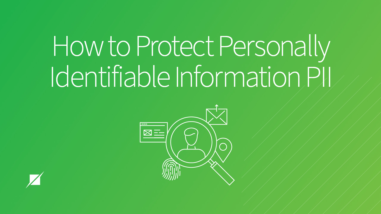 Personally Identifiable Information And How To Guard It Schellman